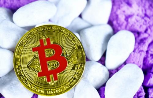 派币现在多少钱一枚？派币实时价格行