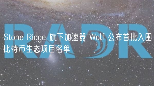 Ston Ridg 旗下加速器 Wolf 公布首