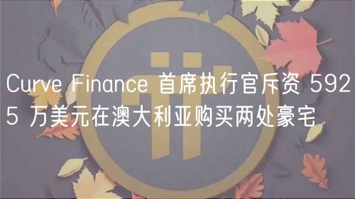 Curv Financ 首席执行官斥资 5925 