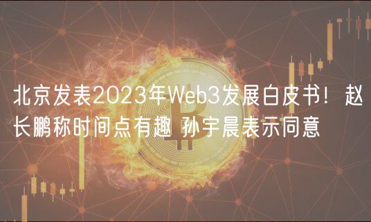 北京发表2023年Wb3发展白皮书！赵长