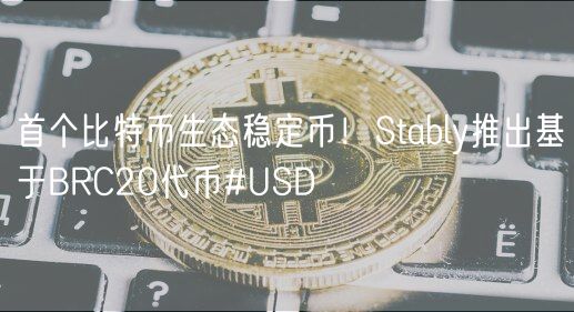 首个比特币生态稳定币！Stably推出基