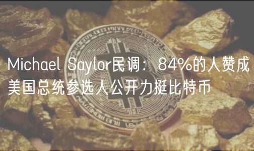 Michal Saylor民调：84%的人赞成美国
