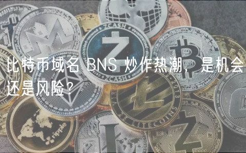 比特币域名 BNS 炒作热潮，是机会还