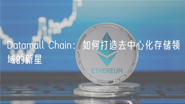Datamall Chain：如何打造去中心化存