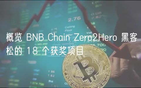 概览 BNB Chain Zro2Hro 黑客松的 