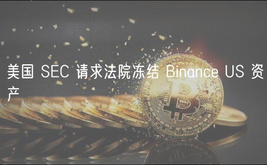 美国 SC 请求法院冻结 Binanc US 