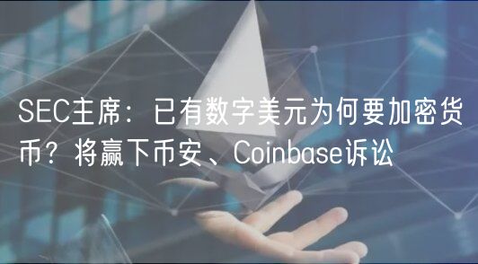 SC主席：已有数字美元为何要加密货币