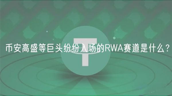 币安高盛等巨头纷纷入场的RWA赛道