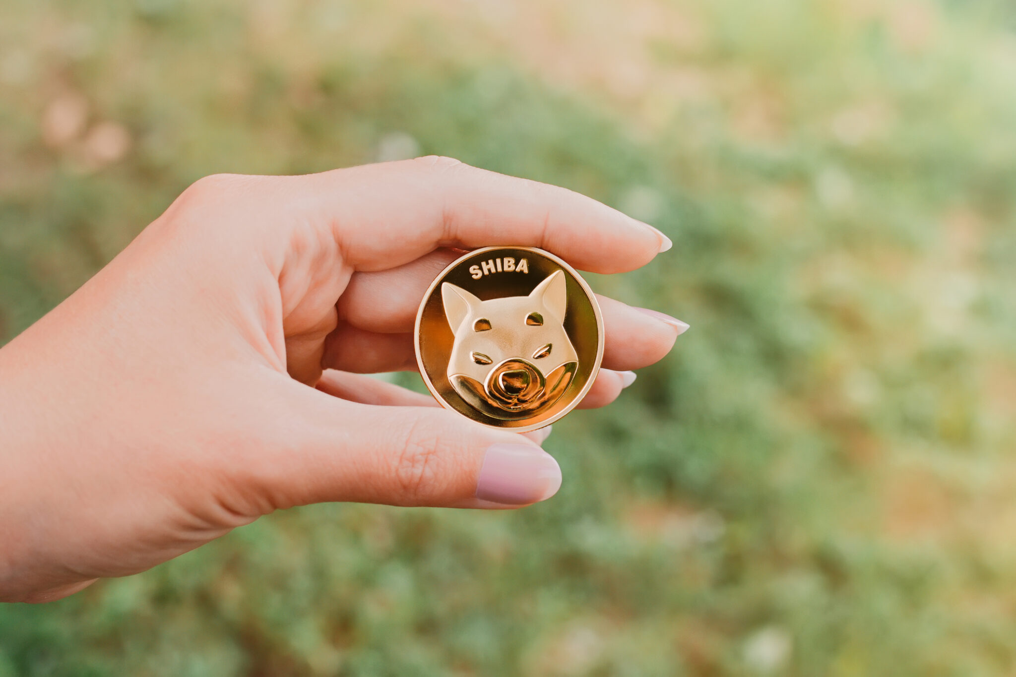 Shiba Inu呈现持续下跌趋势 能否突