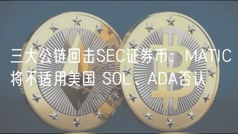 三大公链回击SC证券币：MATIC将不适