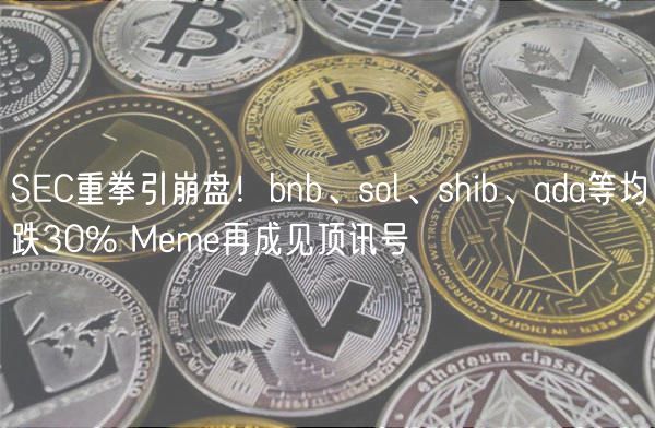SC重拳引崩盘！bnb、sol、shib、ada