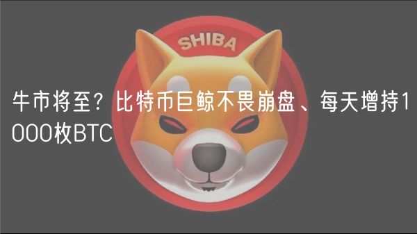 牛市将至？比特币巨鲸不畏崩盘、每天