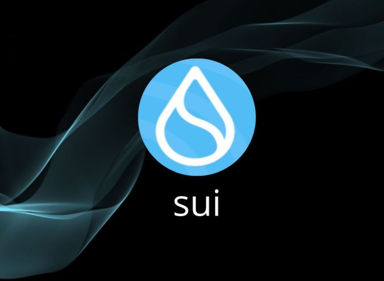SUI以15%的反弹对抗低迷市场 能否