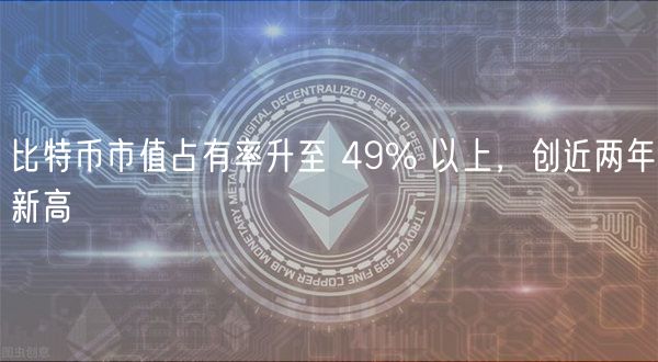 比特币市值占有率升至 49% 以上，创