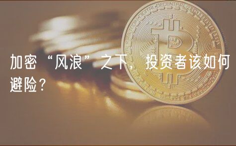 加密“风浪”之下，投资者该如何避险