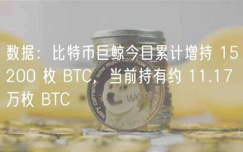 数据：比特币巨鲸今日累计增持 15200