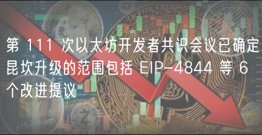 第 111 次以太坊开发者共识会议已