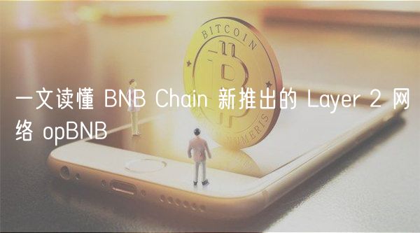 一文读懂 BNB Chain 新推出的 Layr