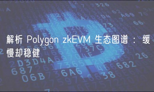 解析 Polygon zkVM 生态图谱 ：缓慢