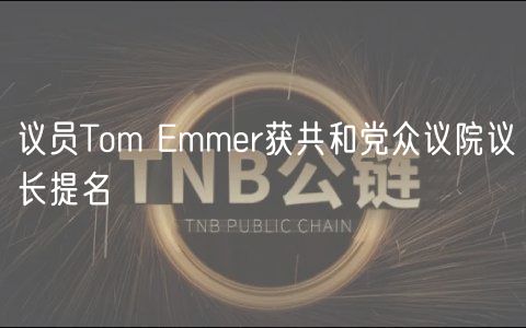议员Tom mmr获共和党众议院议长提