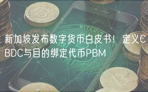 新加坡发布数字货币白皮书！定义CBDC
