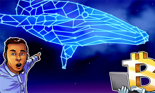 BTC价格短暂跌至一周低位 比特币鲸