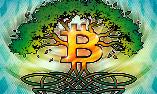 凤凰海豹公司和绿色比特币公司正式