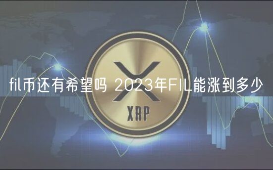 fil币还有希望吗 2024年FIL能涨到