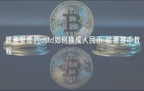 火必里面的ustd如何换成人民币 火