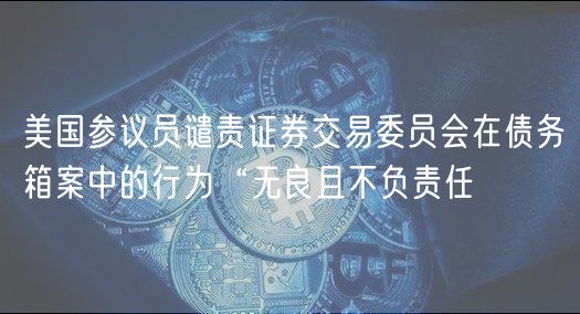 美国参议员谴责证券交易委员会在债