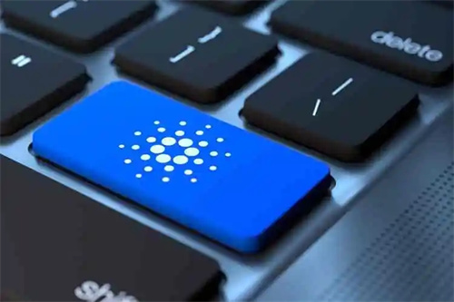 交易量增加 分析师认为目前的卡尔