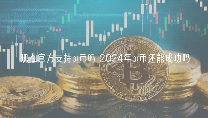 现在官方支持pi币吗 2024年pi币还