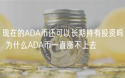 现在的ADA币还可以长期持有投资吗 