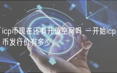 icp币现在还有升值空间吗 一开始ic