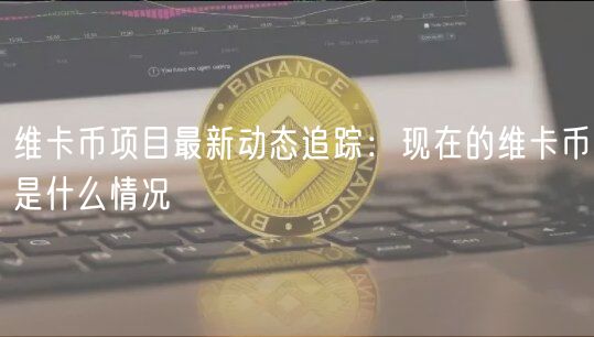 维卡币项目最新动态追踪：现在的维卡