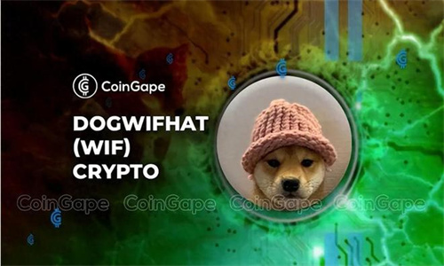 分析师看好WIF币 认为或有可能超越