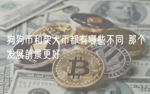 狗狗币和柴犬币都有哪些不同 那个