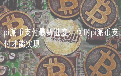 pi派币支付最新进度：何时pi派币支付