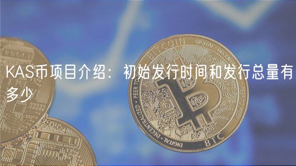 KAS币项目介绍：初始发行时间和发行