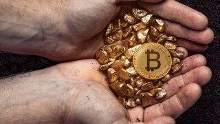 维卡币2023年最新消息：8月维卡币可