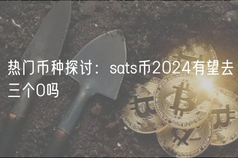 热门币种探讨：sats币2024有望去三个