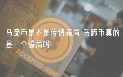 马蹄币是不是传销骗局 马蹄币真的