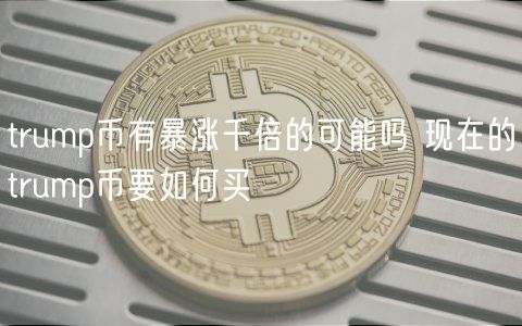 trump币有暴涨千倍的可能吗 现在的