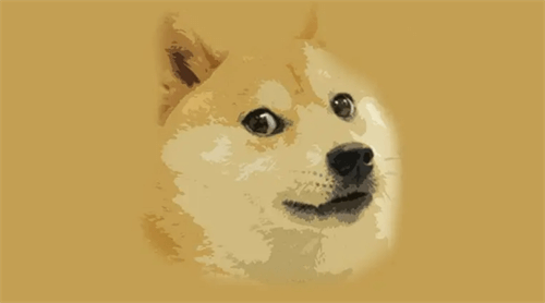 dog币到底是什么 dog币哪个平台能
