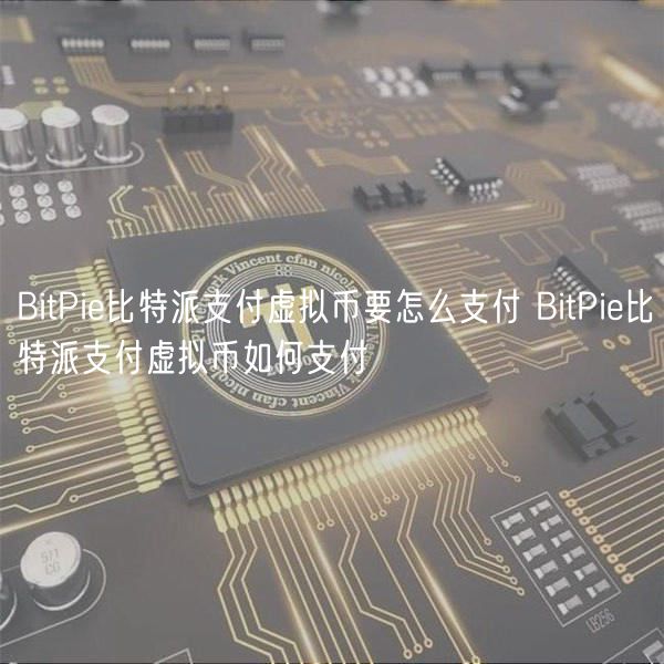 BitPi比特派支付虚拟币要怎么支付 BitPi比特派支付虚拟币如何支付