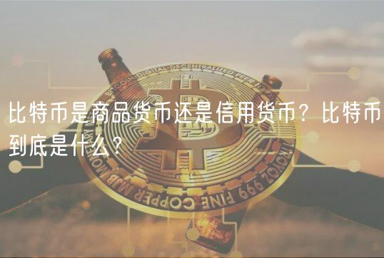 比特币是商品货币还是信用货币？比特币到底是什么？