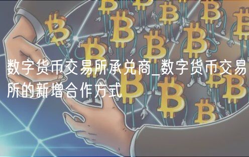 数字货币交易所承兑商_数字货币交易所的新增合作方式