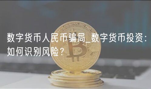 数字货币人民币骗局_数字货币投资：如何识别风险？