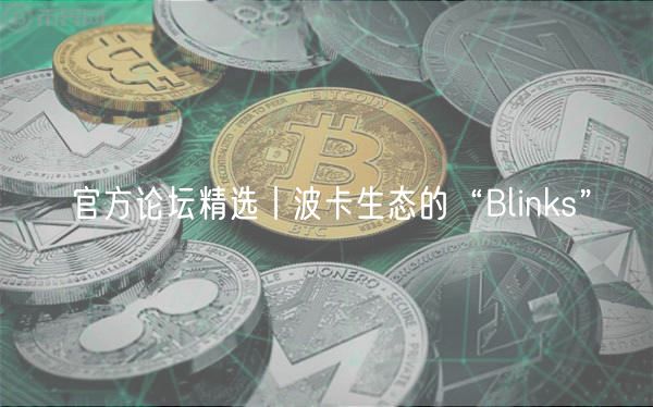 官方论坛精选丨波卡生态的“Blinks”
